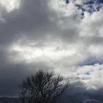 Korfes Synikia Mesi Trikalon