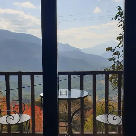 Korfes 塞尼梅西奇卡罗