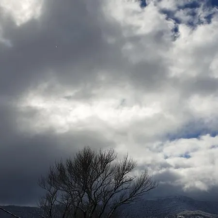 Korfes Синикия-Меси-Трикала