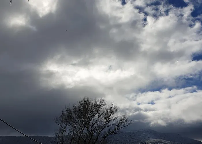 Korfes Synikia Mesi Trikalon